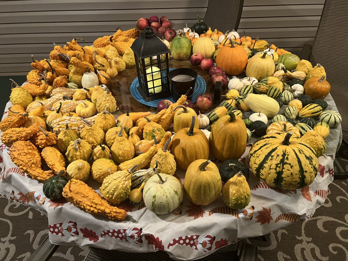 Natural Gourds And Pumpkins For Halloween Decorations